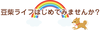 豆柴ライフはじめてみませんか？