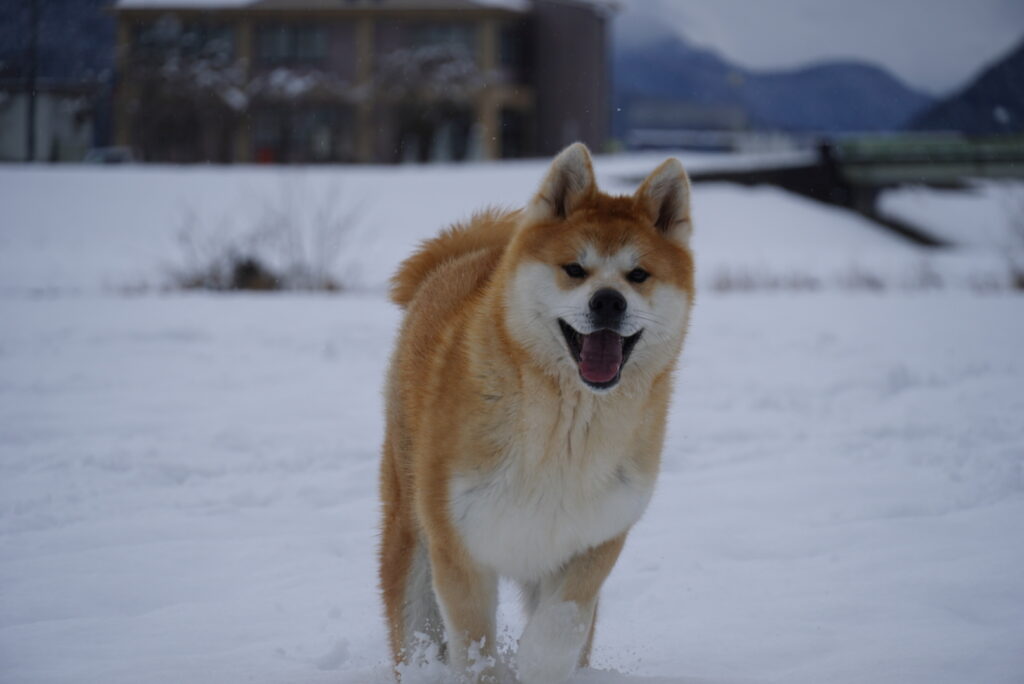 ご無沙汰しておりました💦