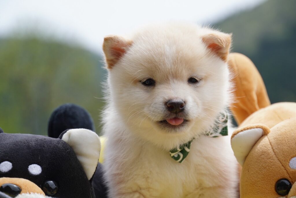 お久しぶりです🎵